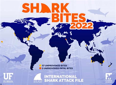 Risk of Death – International Shark Attack File.